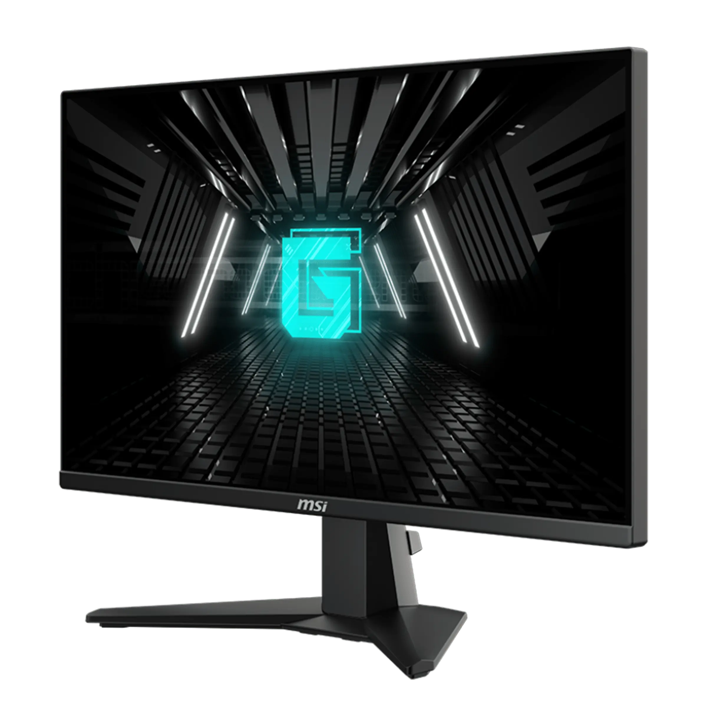 MSI MAG 255XFV Gaming Monitor (1920 x 1080 )